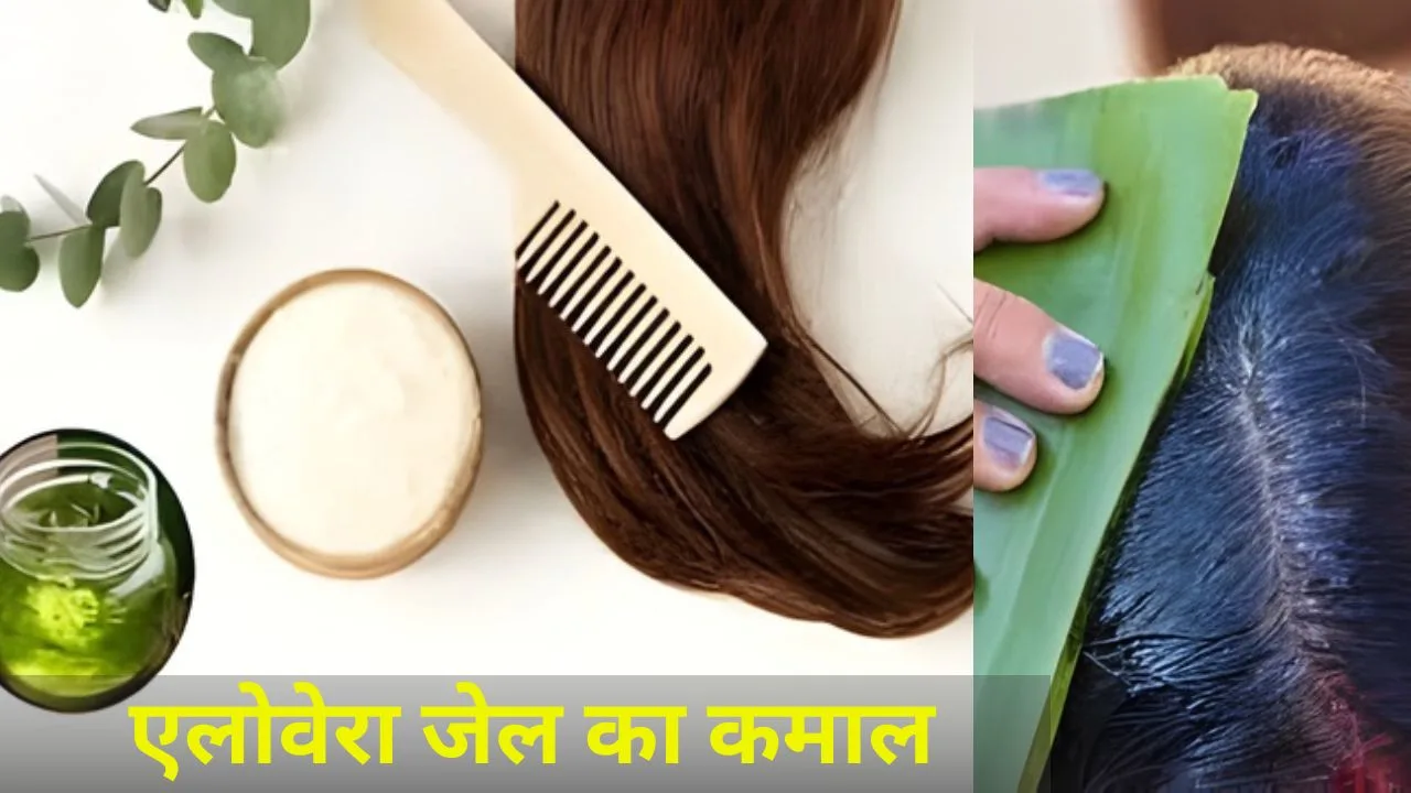 बालों की ड्राइनेस से परेशान हैं? एलोवेरा से बना ये कंडीशनर रूखे-बेजान बालों में लायेगा प्राकृतिक चमक