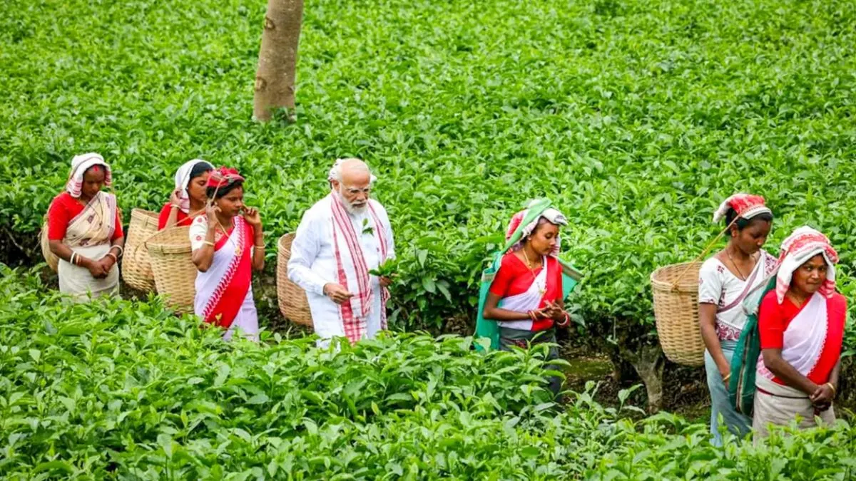 असम के चाय बागान में PM MODI का अनोखा अंदाज़