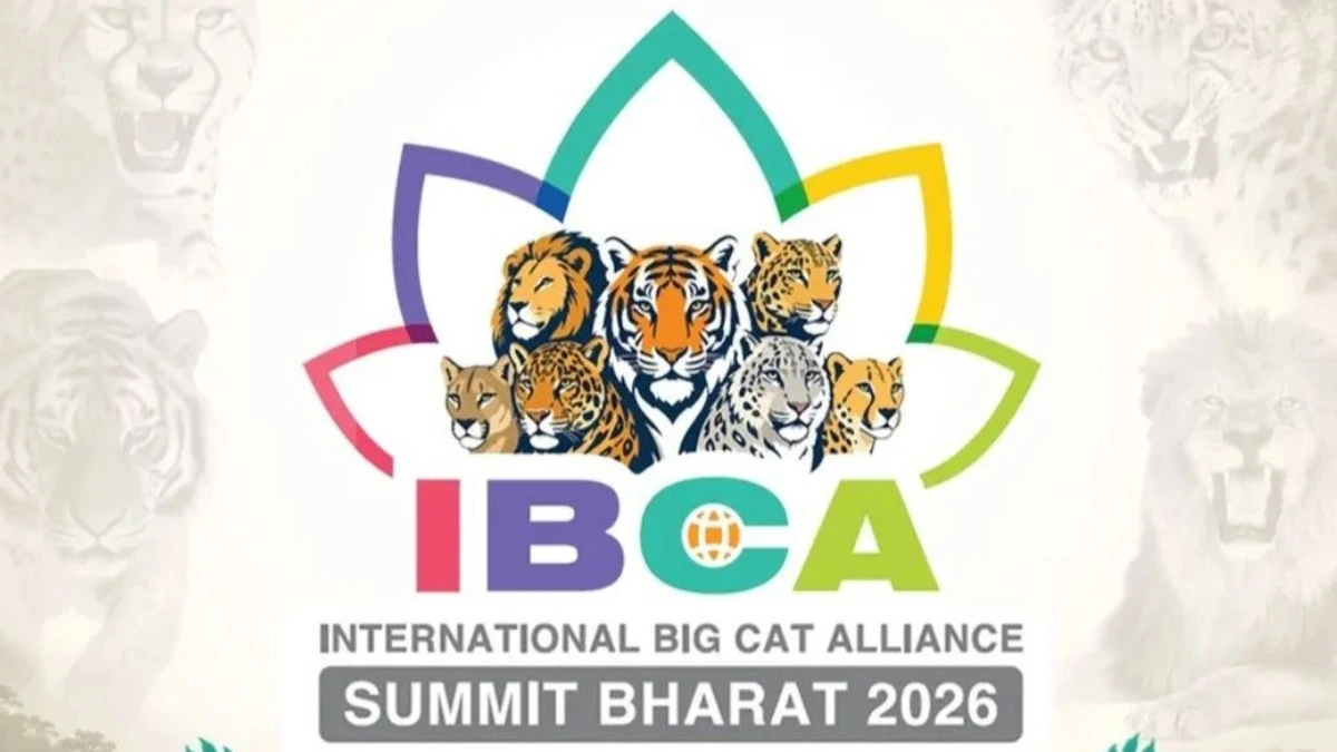भारत में होगा International Big Cat Alliance 2026 समिट, 14 देशों ने भाग लेने की पुष्टि की