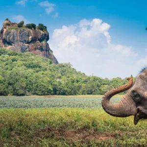 श्रीलंका और गुजरात के पर्यटन उद्योग को एक मंच पर लाने के लिए अहमदाबाद में होगा विशेष ट्रैवल ट्रेड रोडशो