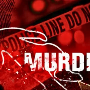 Anna Nagar Double Murder