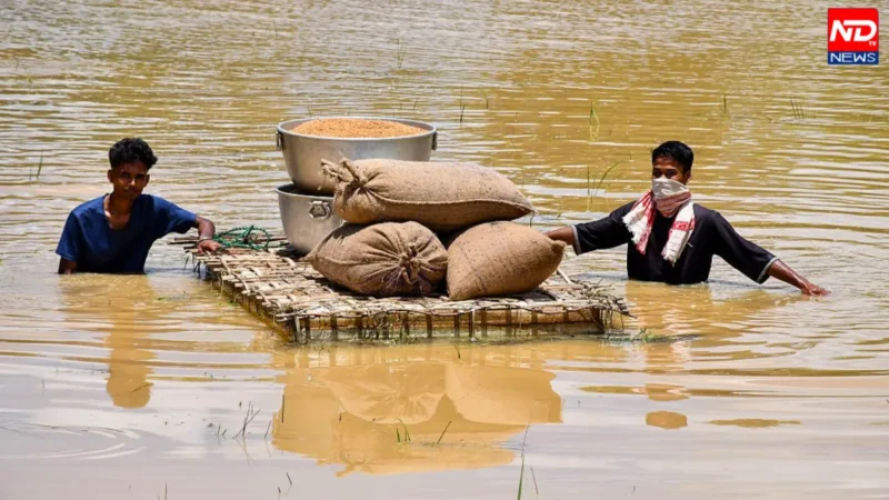 Assam Flood
