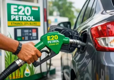 E20 Petrol