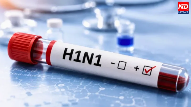 Delhi H1N1 News