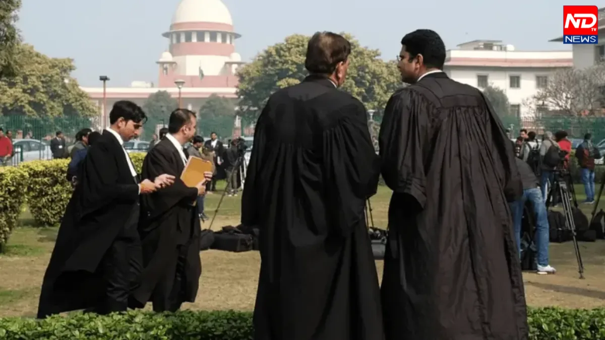 Judicial Service Practice Rule