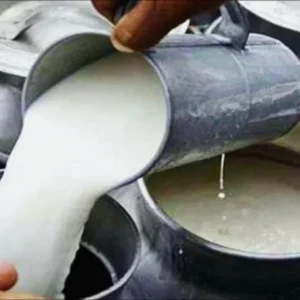 Milk Price Hike