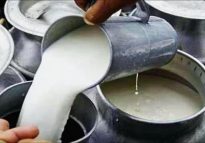 Milk Price Hike