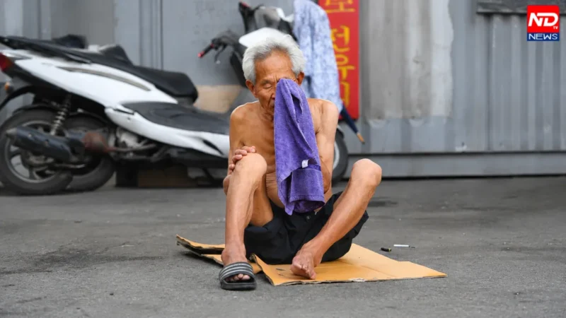 South Korea Heatwave