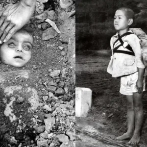 World Photography Day