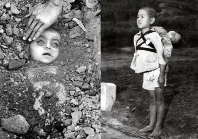 World Photography Day