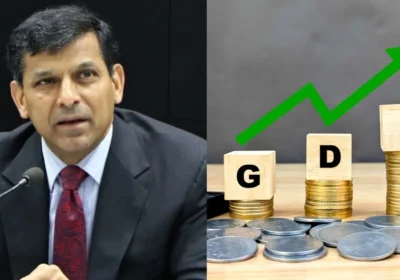 Raghuram Rajan on GDP