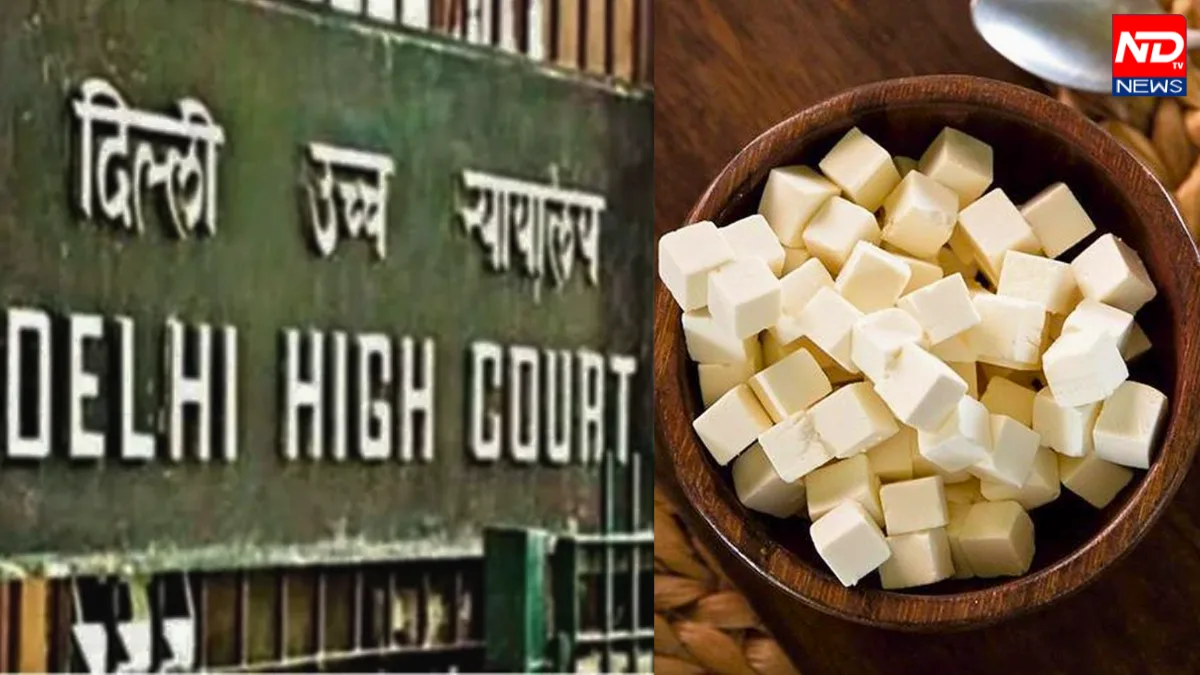 Analogue Paneer