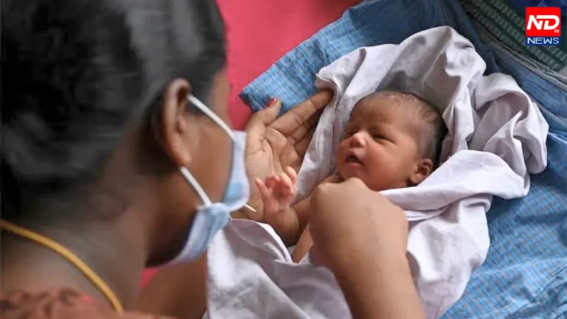 Fertility Rate